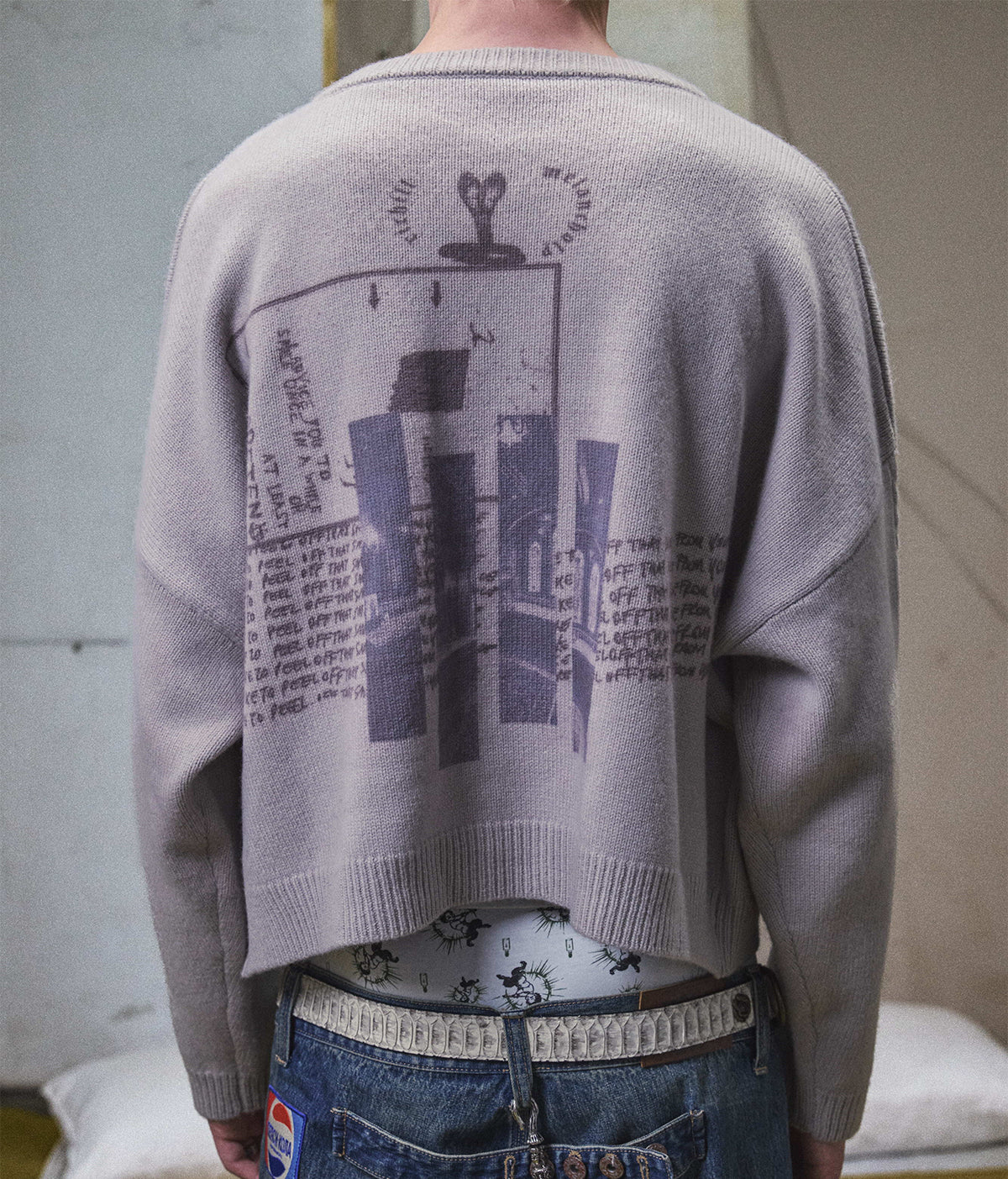 Graphic Print Cropped Crewneck Wool Sweater