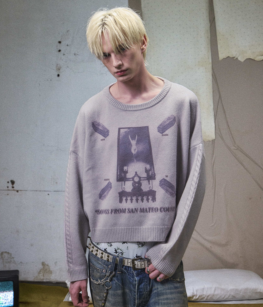 Graphic Print Cropped Crewneck Wool Sweater