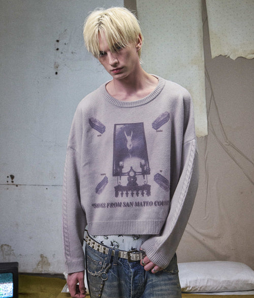Graphic Print Cropped Crewneck Wool Sweater
