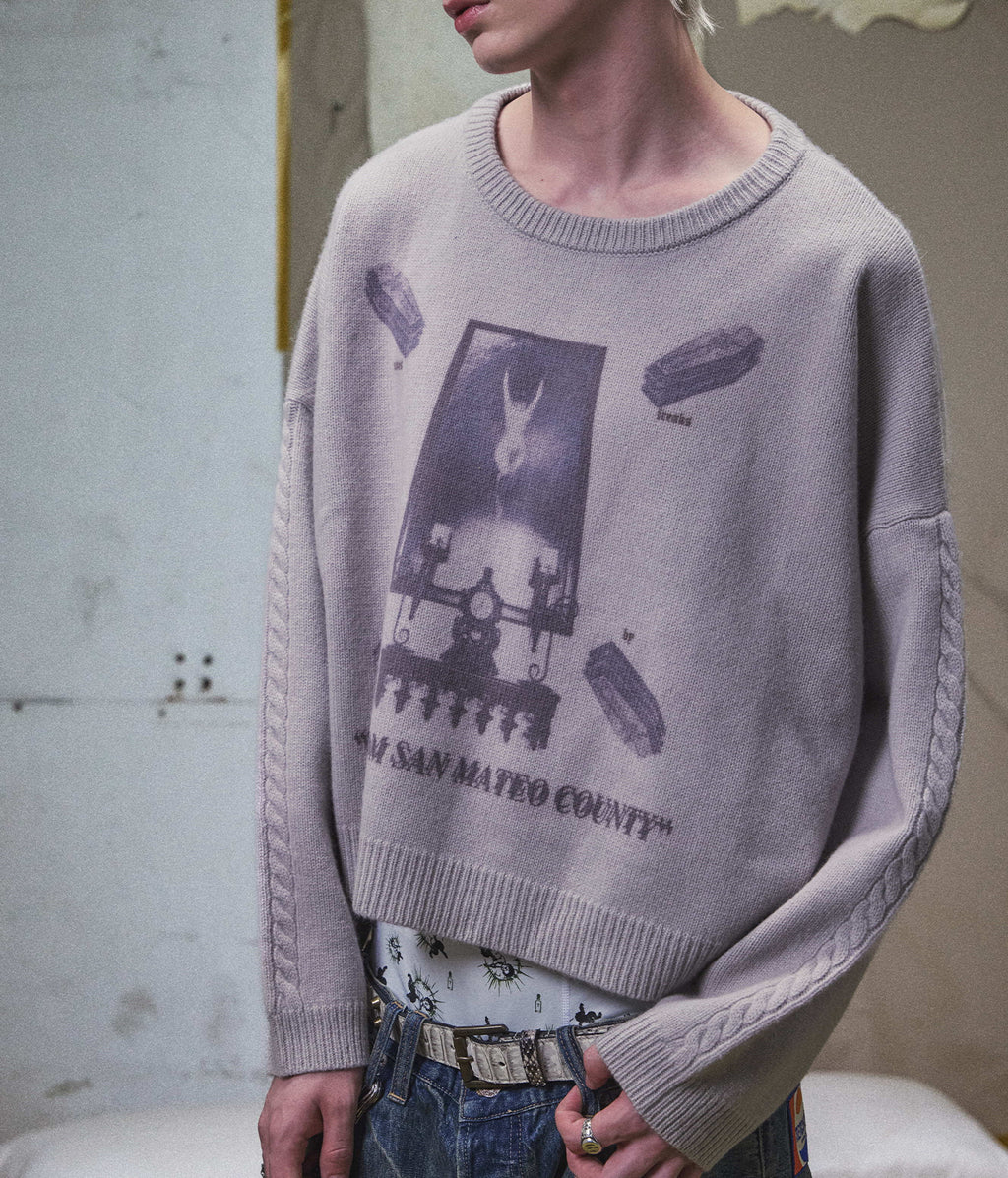 Graphic Print Cropped Crewneck Wool Sweater