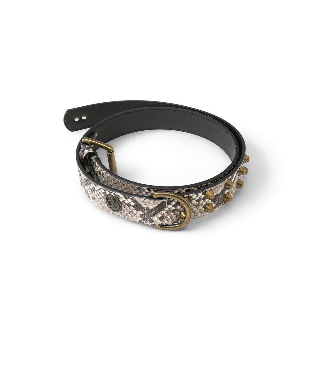 Python Leather Studded Belt — Dorsal Scale