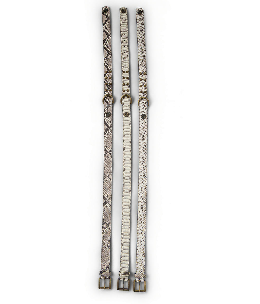Python Leather Studded Belt — Dorsal Scale