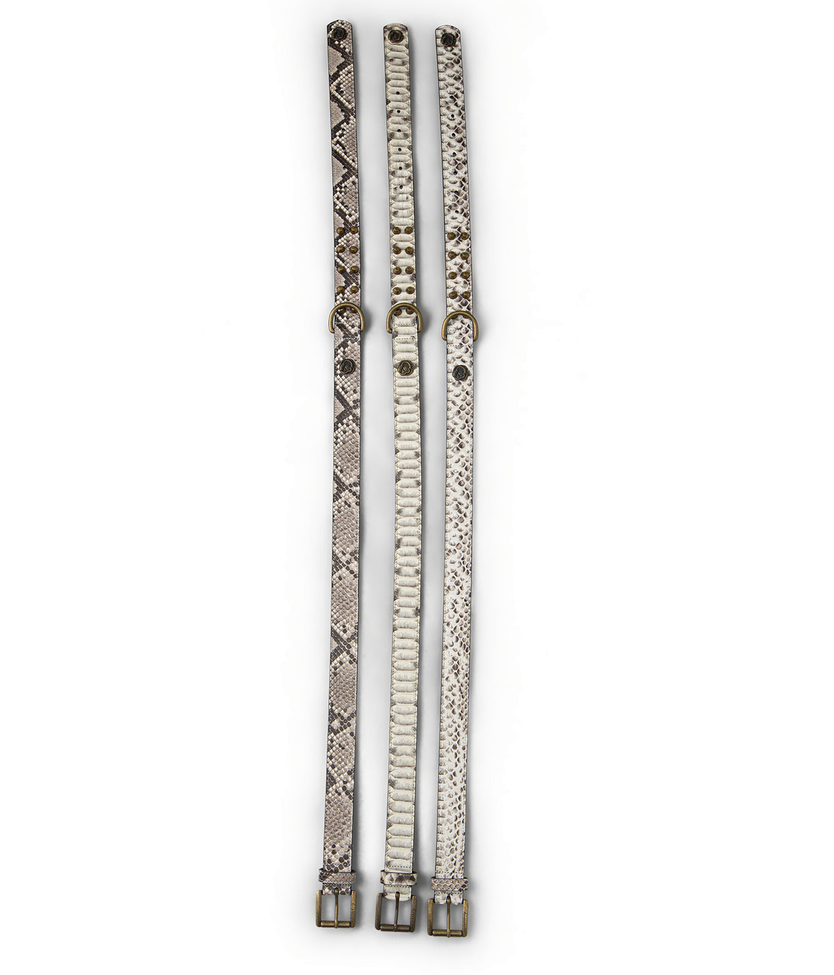 Python Leather Studded Belt — Ventral Scale