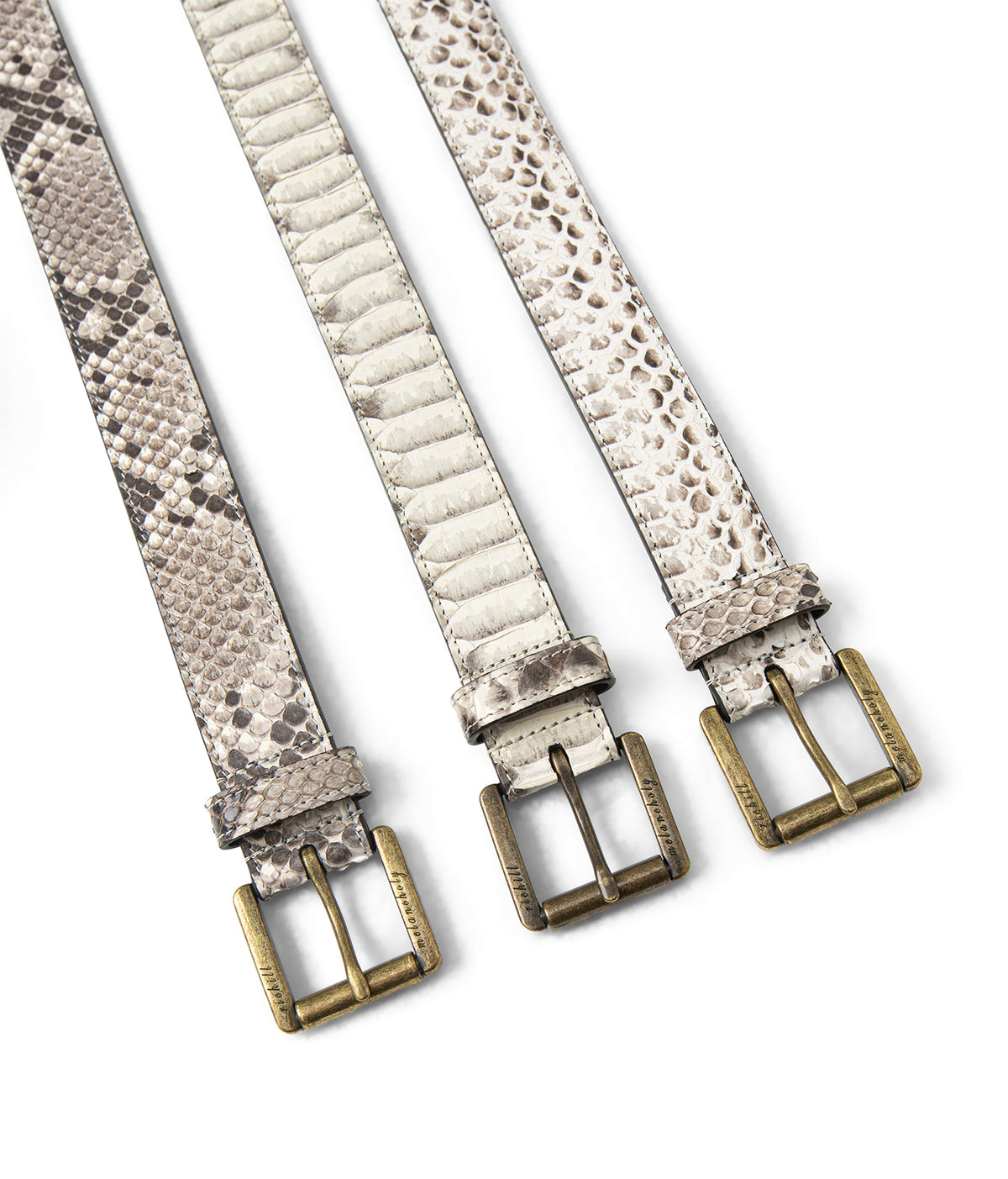 Python Leather Studded Belt — Dorsal Scale