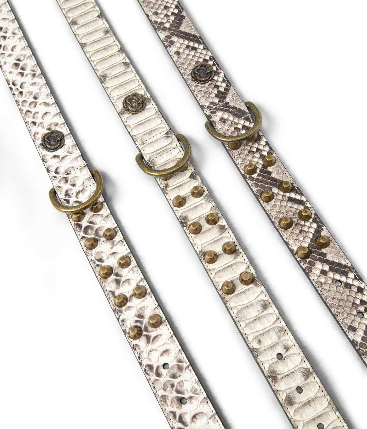 Python Leather Studded Belt — Dorsal Scale