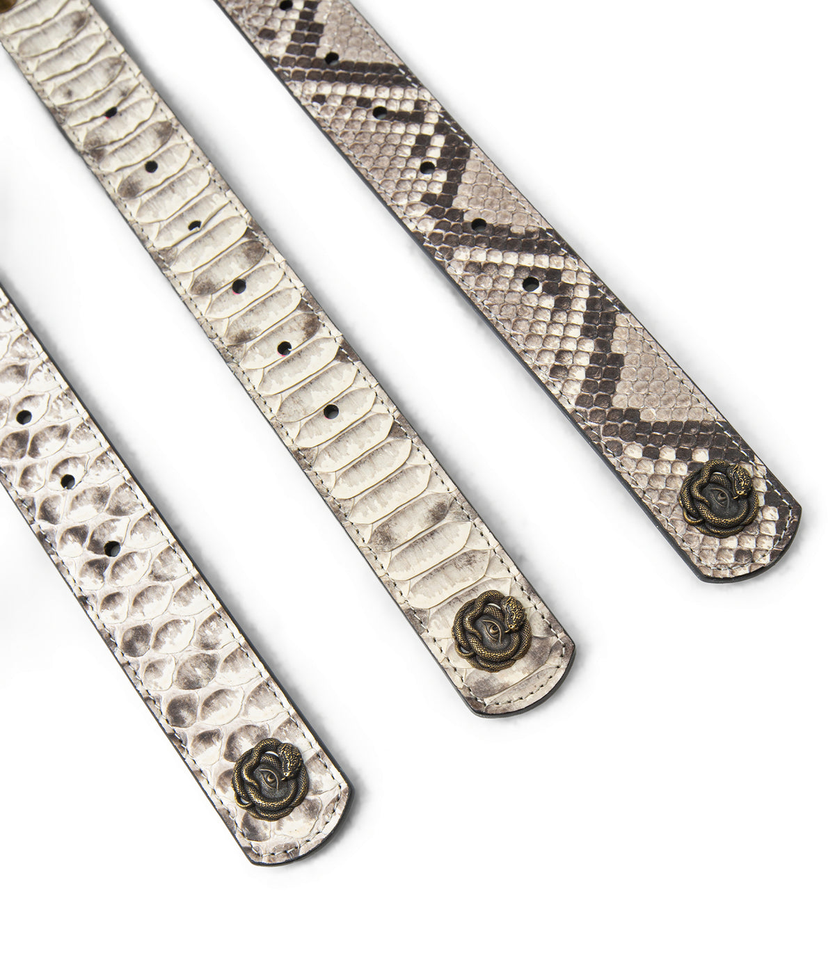 Python Leather Studded Belt — Dorsal Scale